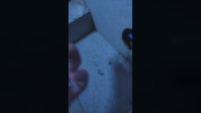 Luci_stream  25-06-2022